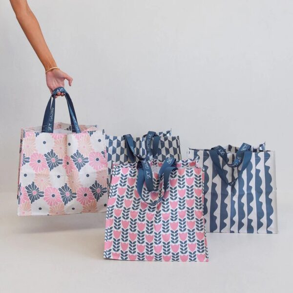Sky Gazer Multi-purpose reusable bags (pack of 4)