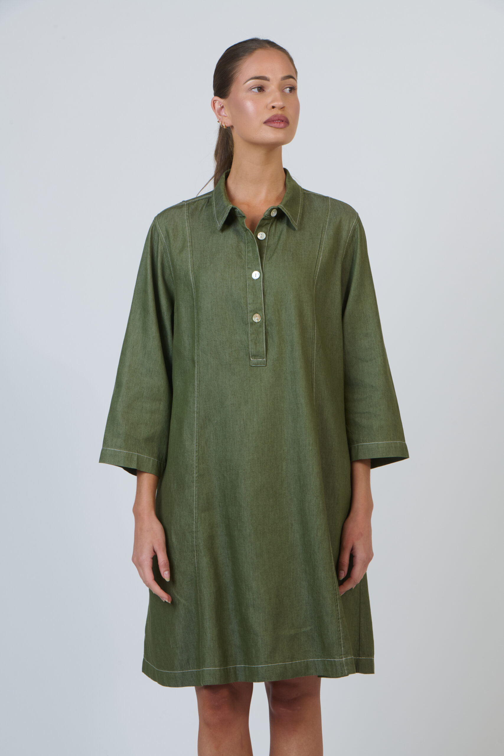 Naturals by O & J Bayleaf Shirtdress