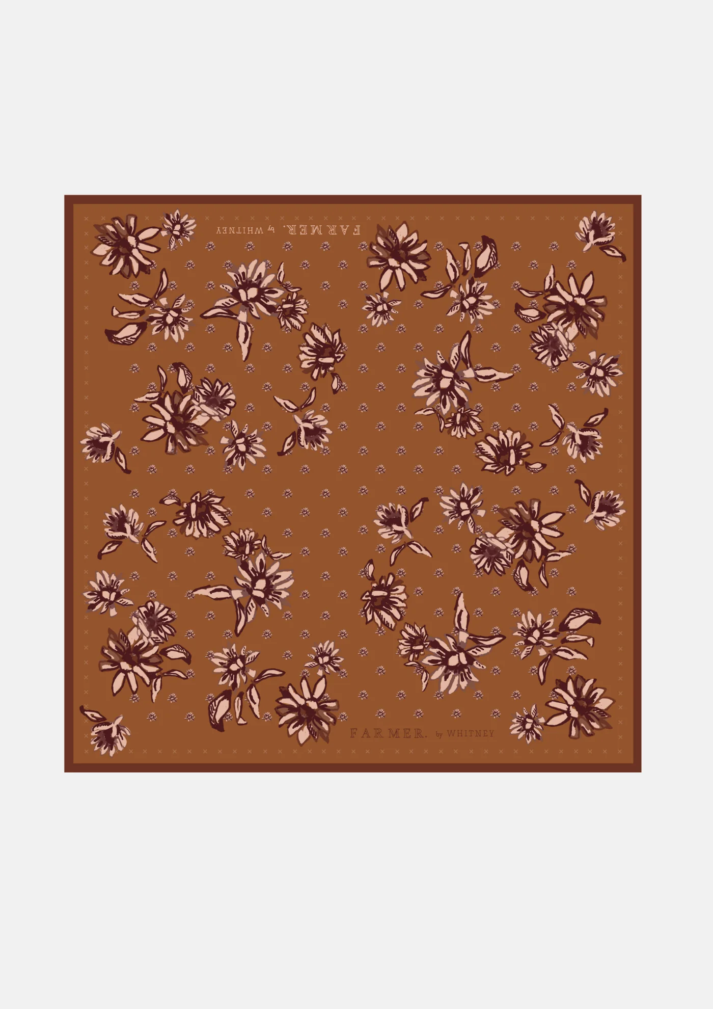 FARMER by Whitney Sunburnt Silk Scarf - Image 3